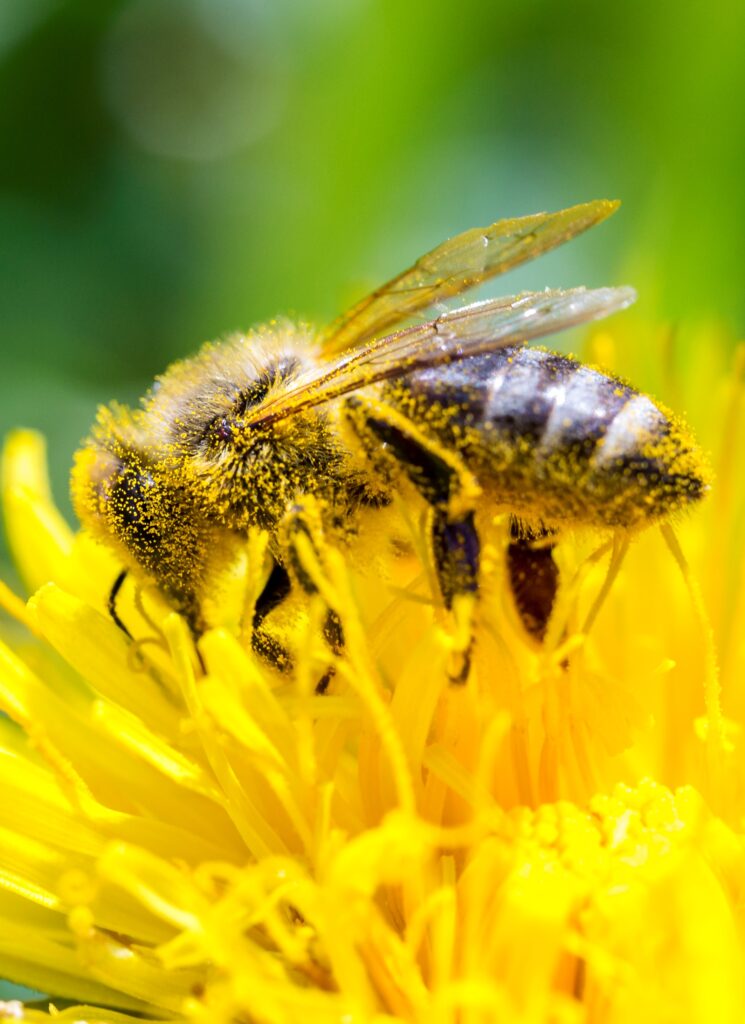 05062019-_58A9228 (2)