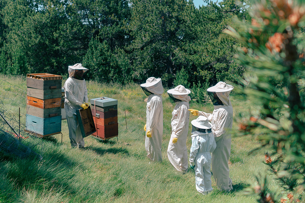 visita ruscos andorra