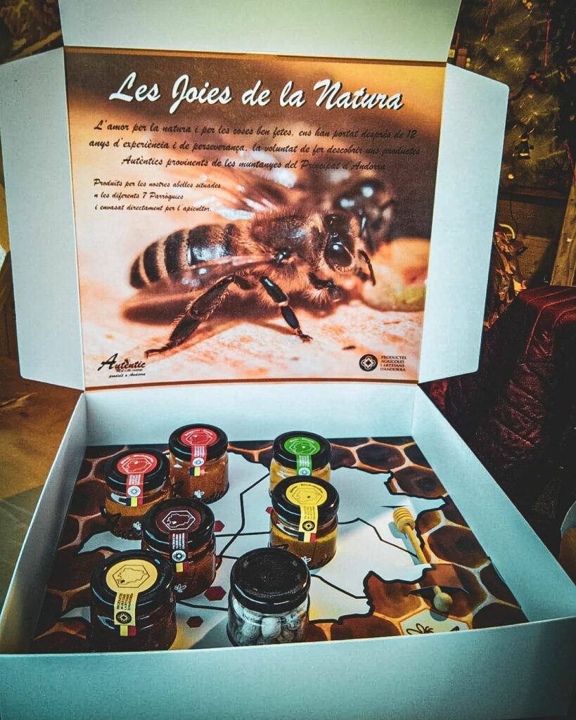 1653060224801.webp (1)