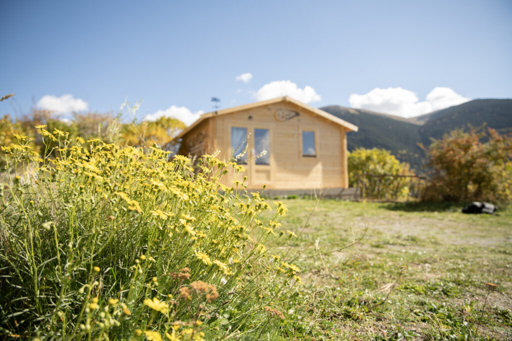 Experiències apiteràpia andorra