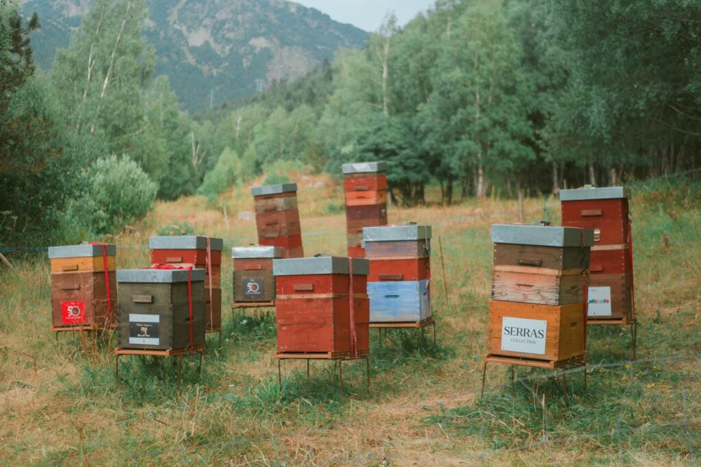 WhatsApp Image 2022-09-23 at 00.31.37