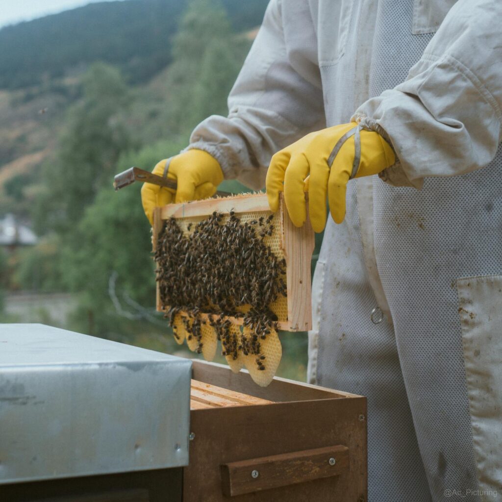 WhatsApp Image 2022-09-23 at 00.31.39 (3)