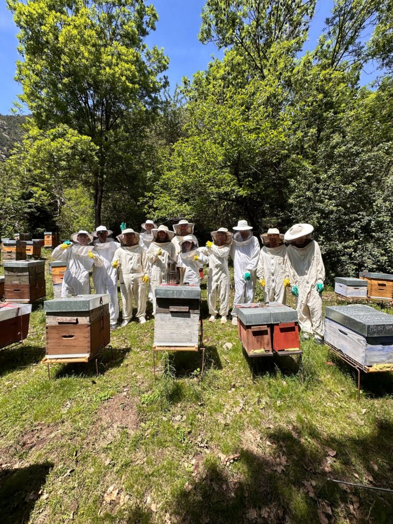 visites ruscs andorra