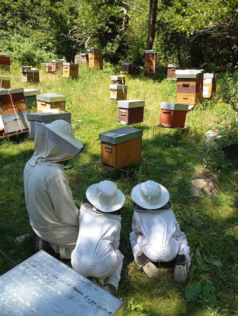 activitat natura andorra