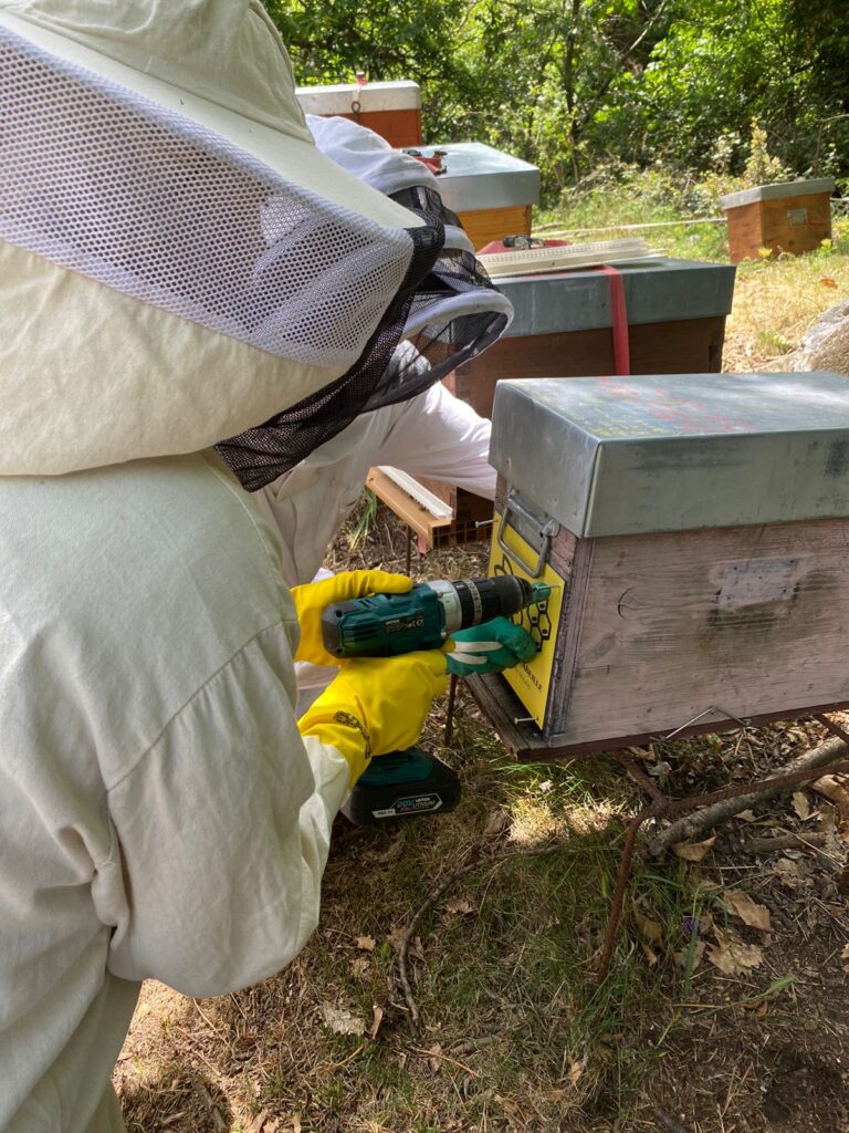 apadrinament rusc andorra