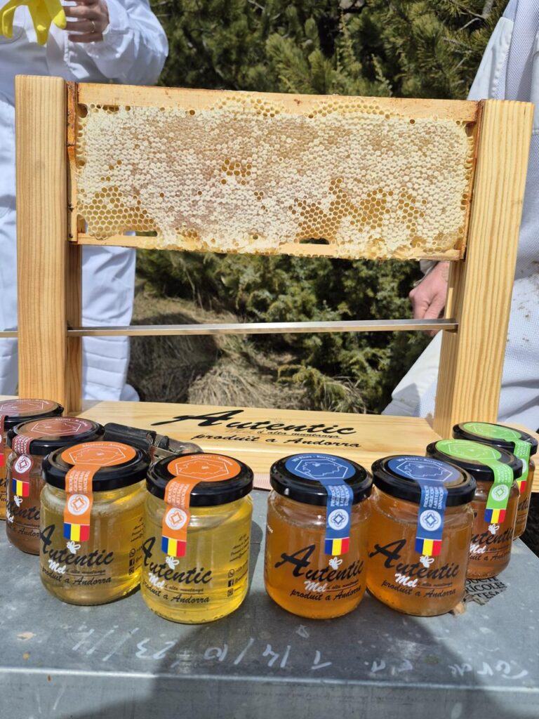 WhatsApp Image 2026-03-31 at 16.11.33