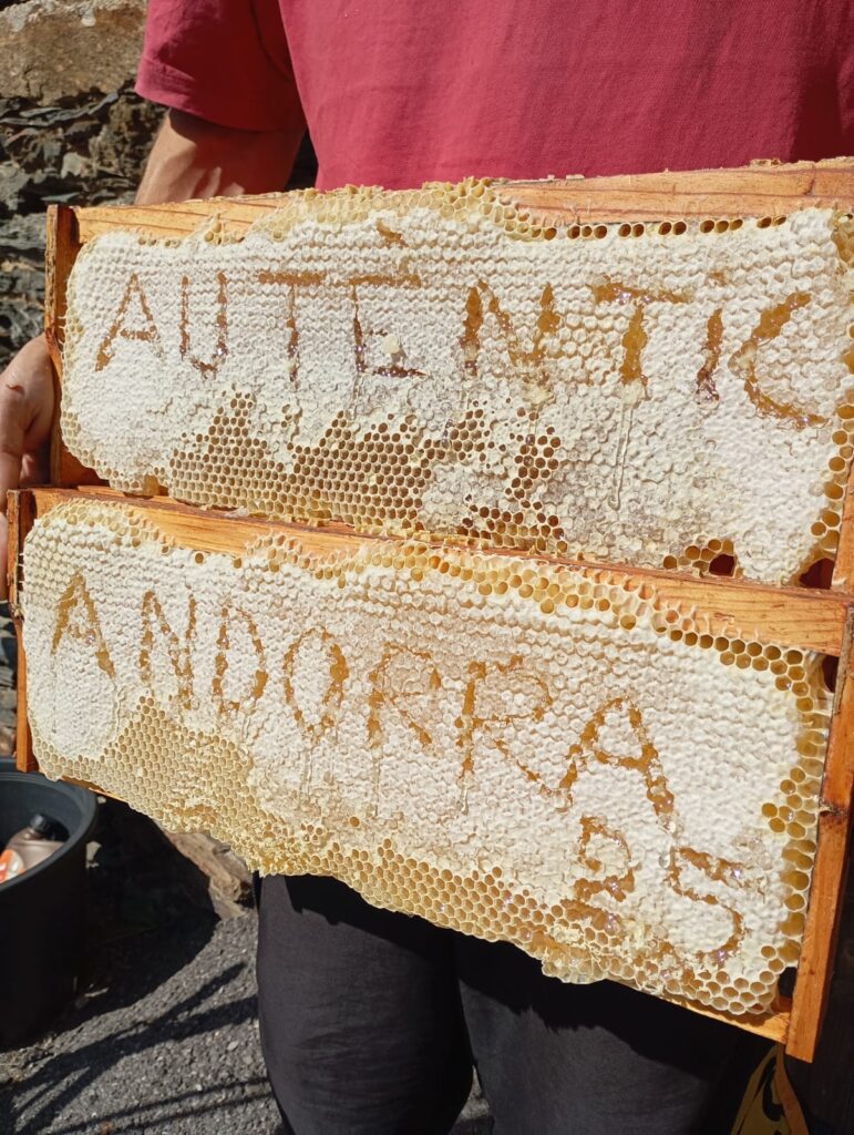 WhatsApp Image 2026-03-31 at 16.11.34